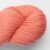 1808-coral